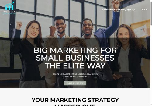 truelitemarketing.com capture - 2025-08-02 00:59:00