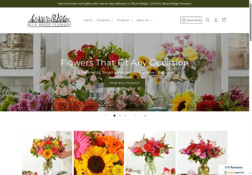 Blue Ridge Flowers capture - 2025-08-02 08:00:30