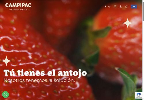 campipac.com capture - 2025-08-02 12:08:15