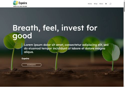 espeirainvest.com capture - 2025-08-02 16:06:41