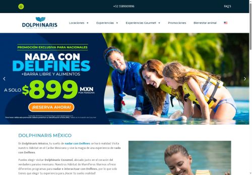 Dolphinaris capture - 2025-08-06 12:26:43