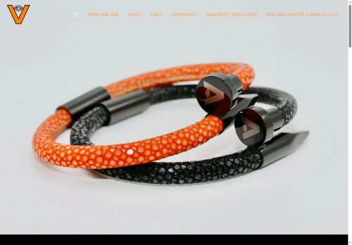 visionairestyles.com capture - 2025-08-06 18:20:31