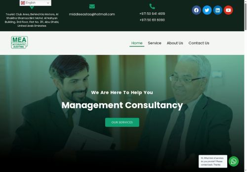 meaccountsaudit.com capture - 2025-08-07 00:55:08