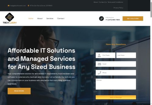 techloomit.com capture - 2025-08-07 01:20:48