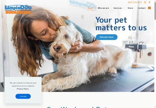 limpiadogbuenavista.com capture - 2025-08-07 02:02:15