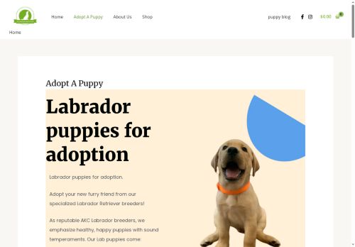 onestoplabrador-petshop.com capture - 2025-08-07 11:26:32