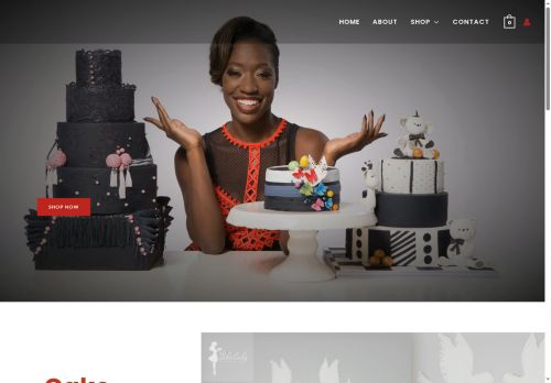 thecakeladyco.com capture - 2025-08-07 19:06:20