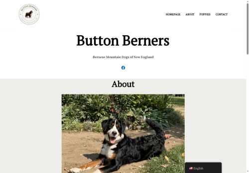 buttonberners.com capture - 2025-08-07 20:48:13