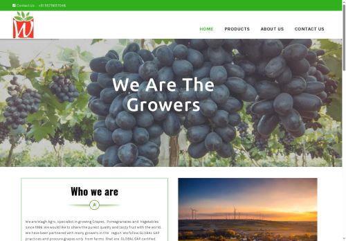 hastaiagro.com capture - 2025-08-07 22:58:53