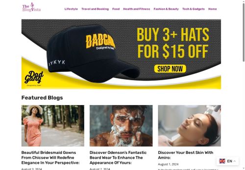 theblogvista.com capture - 2025-08-08 01:31:55