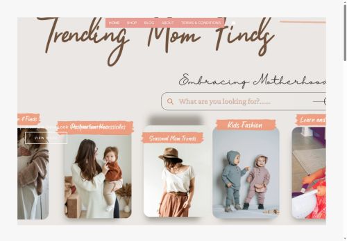trendingmomfinds.com capture - 2025-08-08 04:27:09