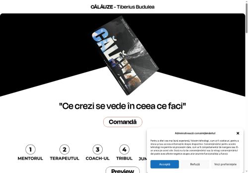 tiberiusbudulea.com capture - 2025-08-08 05:48:08