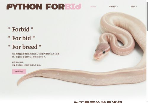 pythonforbid.com capture - 2025-08-08 06:42:45