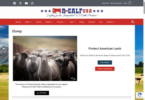protectamericanlamb.com capture - 2025-08-08 15:43:50
