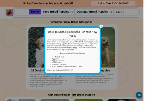 bhpuppies.com capture - 2025-08-08 17:22:37