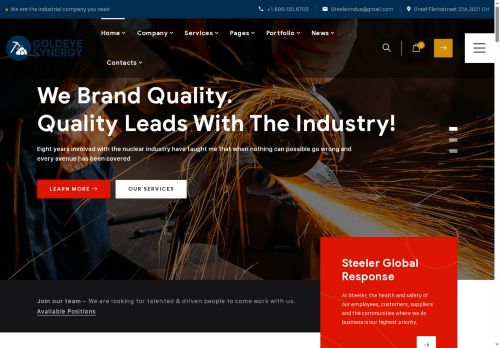 goldeyesynergy.com capture - 2025-08-08 18:31:41