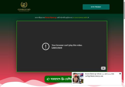 ginkgobd.com capture - 2025-08-08 19:55:48