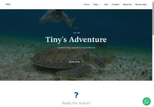 tinyislandadventure.com capture - 2025-08-09 01:44:36