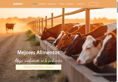 recriamascotas.com capture - 2025-08-09 09:34:49