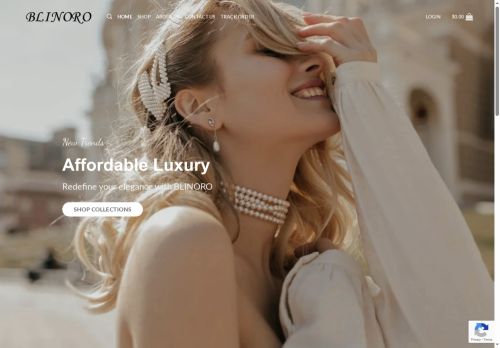 blinoro.com capture - 2025-08-09 10:05:04