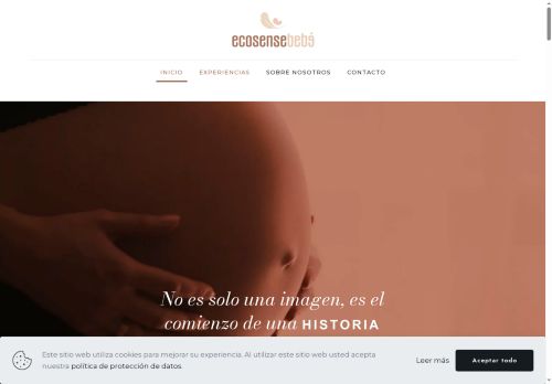 ecosensebebe.com capture - 2025-08-09 12:11:48