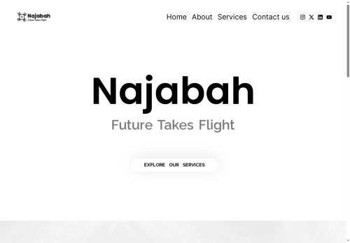 najabahco.com capture - 2025-08-09 14:13:00