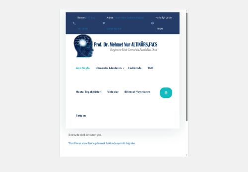 mehmetnuraltinors.com capture - 2025-08-09 15:34:30