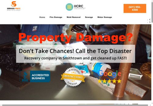 waterdamagerestorationsmithtown.com capture - 2025-08-09 17:25:27