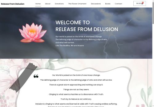 releasefromdelusion.com capture - 2025-08-09 21:31:44