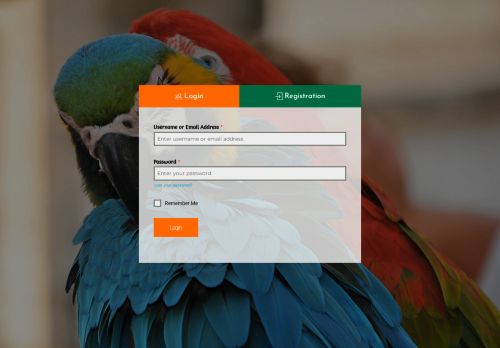 birdstreetwholesale.com capture - 2025-08-10 05:59:28