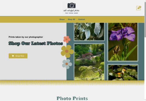 allcolorfulphotos.com capture - 2025-08-10 06:23:22