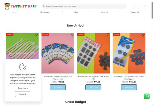 tweensykart.com capture - 2025-08-10 09:17:35