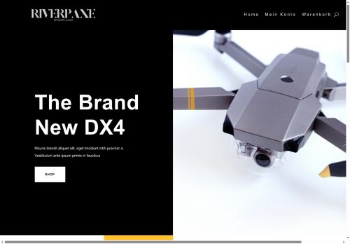 riverpane.com capture - 2025-08-10 09:50:04