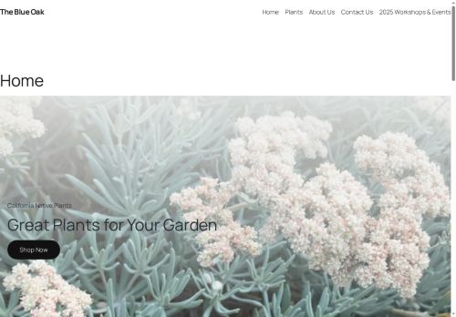 theblueoaknursery.com capture - 2025-08-10 14:39:05