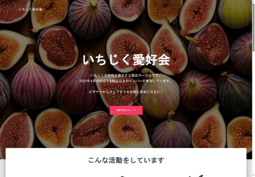 tokyofigs.com capture - 2025-08-10 19:39:12