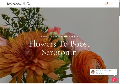 theserotonincompany.com capture - 2025-08-10 22:15:01