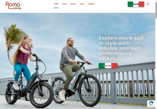 eromagnaebikes.com capture - 2025-08-11 00:16:17