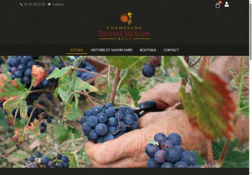 champagne-degenne.com capture - 2025-08-11 00:48:14