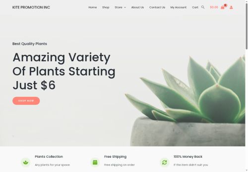 kitepromotion.com capture - 2025-08-11 00:58:43