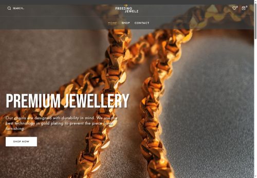 freezingjewelz.com capture - 2025-08-11 03:55:43