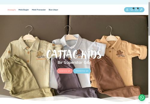 cattackids.com capture - 2025-08-11 04:29:00