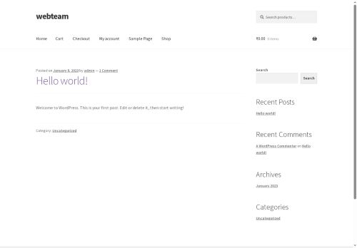 webandseoteam.com capture - 2025-08-11 06:22:33