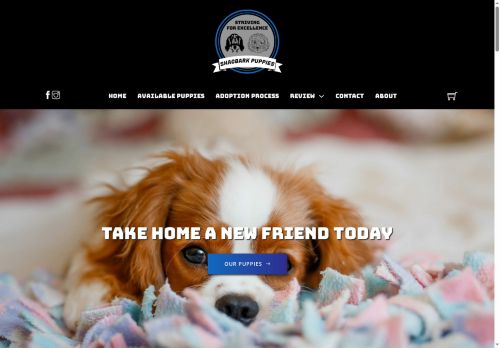 shagbarkpuppies.com capture - 2025-08-11 08:49:08