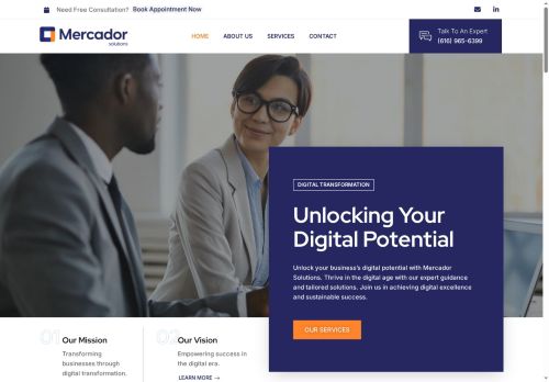 mercadorsolutions.com capture - 2025-08-11 11:23:29