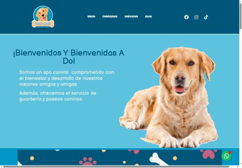 dondeapolo.com capture - 2025-08-11 11:49:59