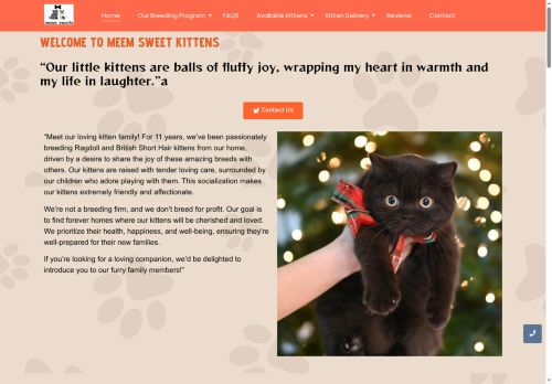 meemsweets.com capture - 2025-08-11 13:52:50