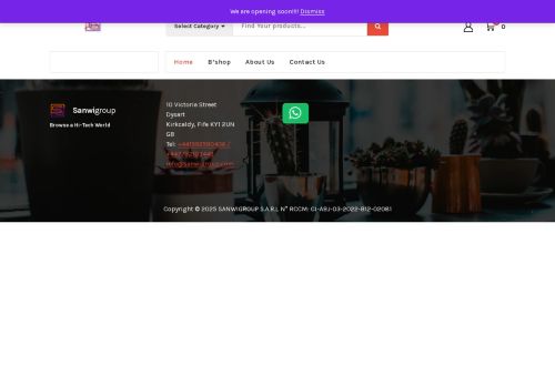 sanwigroup.com capture - 2025-08-12 06:09:27