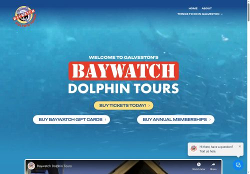 baywatchtours.com capture - 2025-08-12 07:30:27