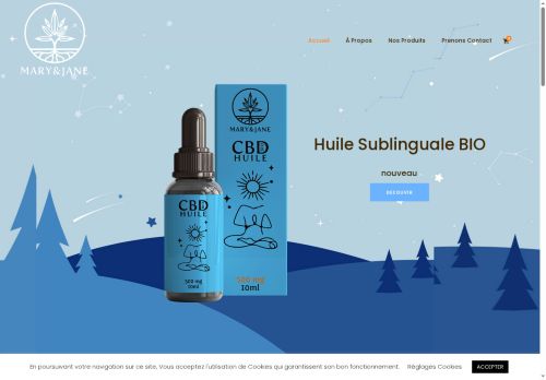 mary-and-jane.com capture - 2025-08-12 14:36:51