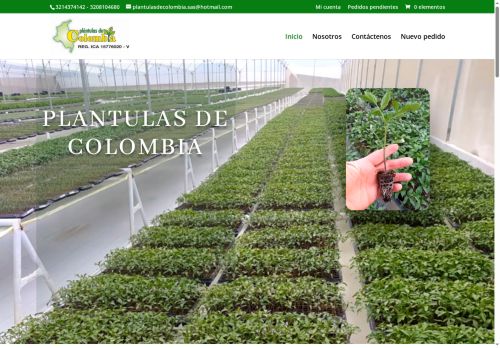 plantulasdecolombia.com capture - 2025-08-12 15:13:59